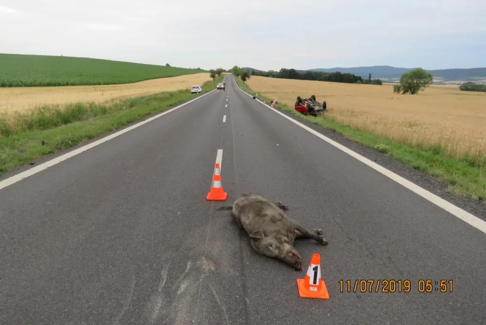Kanec způsobil stotisícovou škodu. Na Plzeňsku zapříčinil střet dvou aut.