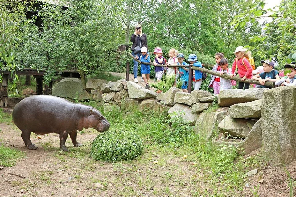 ZOO Plzeň