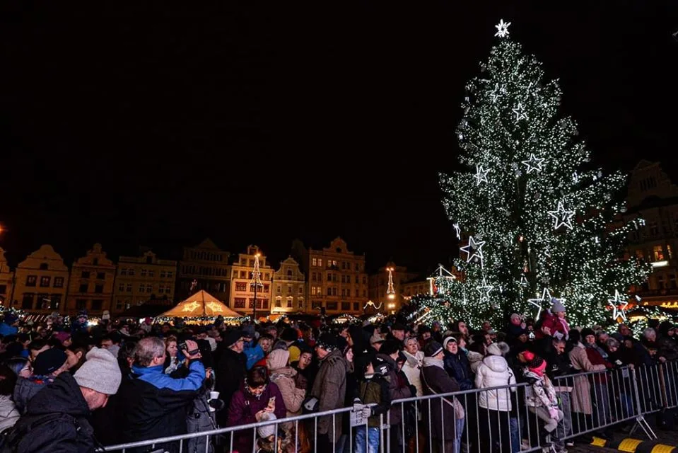 Plzeň rozsvítila vánoční strom, zdobí ho kilometry řetězů světel.