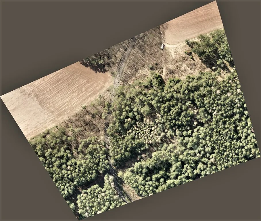 Z těchto map dokáží lesníci vyčíst, kde jsou kůrovcem napadené stromy