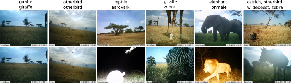 fotopasti v Serengeti