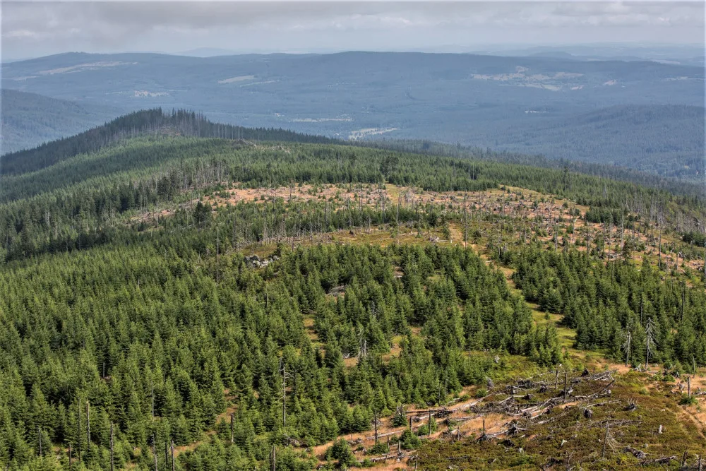 NP Šumava