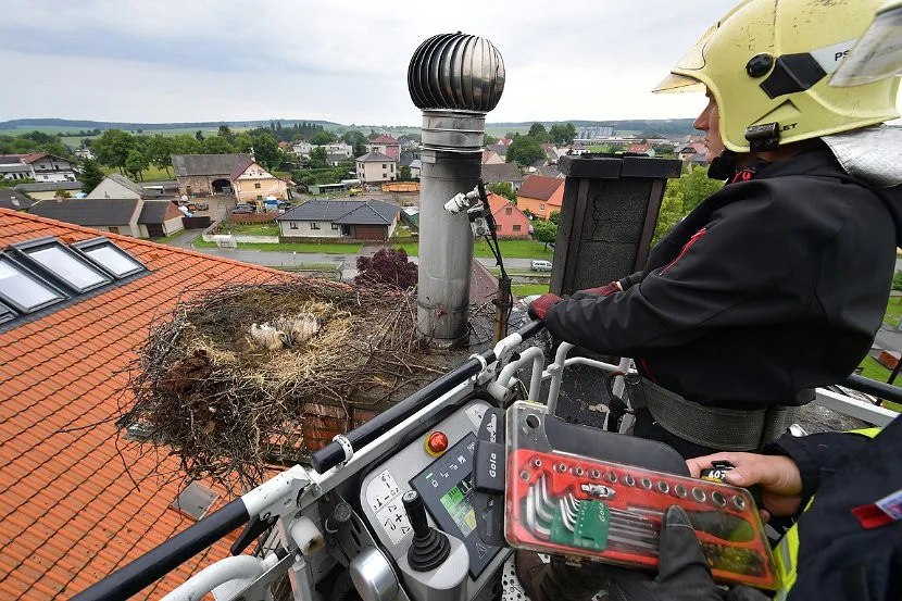 Čápům napršelo do hnízda a hrozilo, že se mláďata utopí