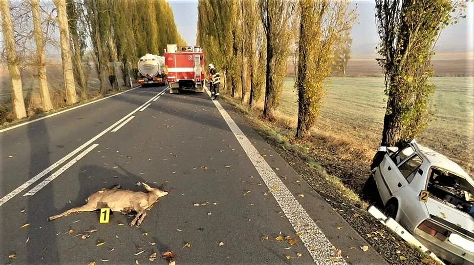 ilustrační foto