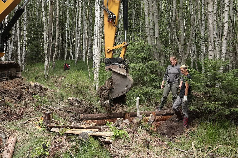 Nový šumavský projekt navrátí vodu do vysušených mokřadů a pramenišť