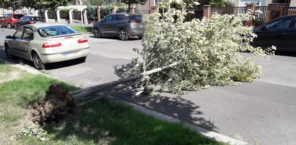 Hasiče v celém kraji potrápil silný vítr, mají za sebou už desítky výjezdů