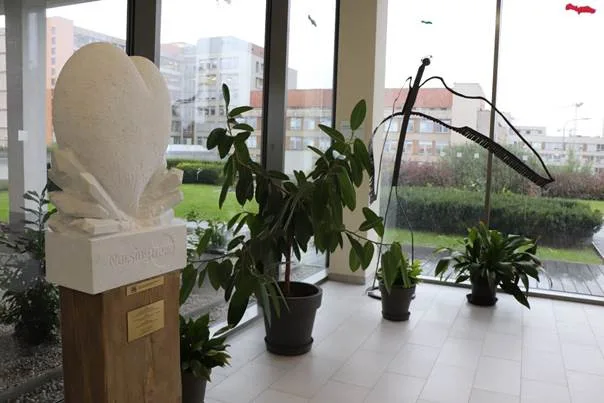Bílé srdce z mramoru je novým symbolem ve fakultní nemocnici