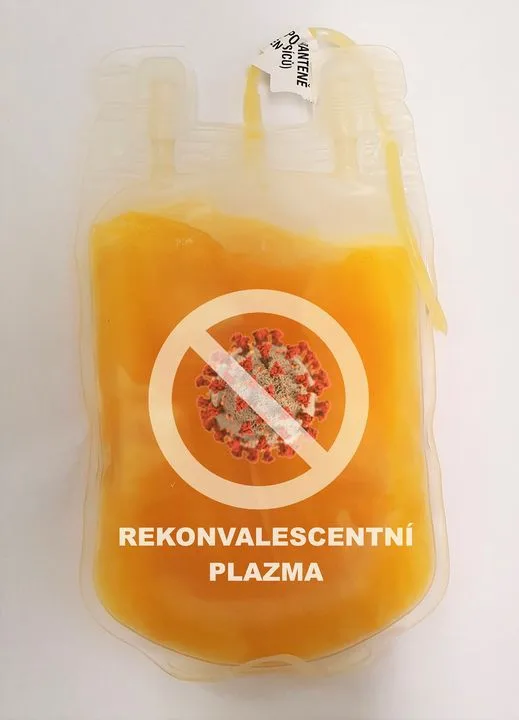 Nemocnice mají zájem o plazmu dárců, kteří prodělali onemocnění covid a vyléčili se