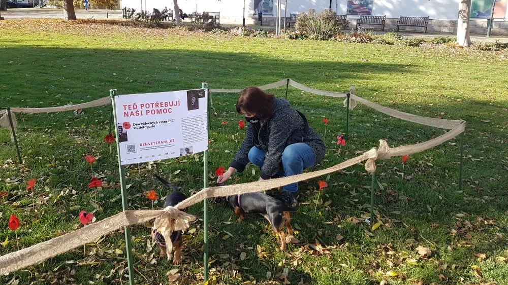 lidé v Plzni ctí památku válečných veteránů