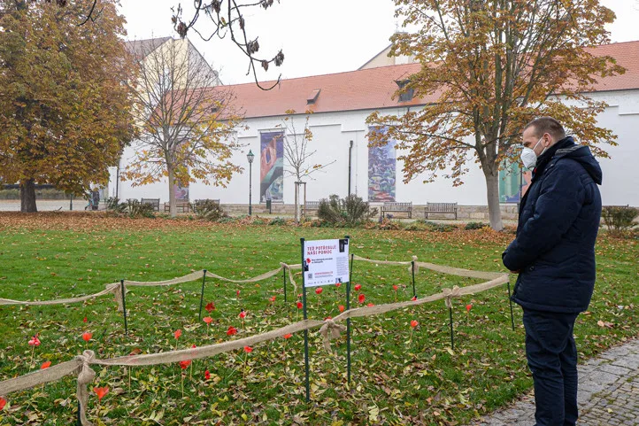 Záhonek s vlčími máky v centru Plzně se zaplňuje, zasadit květ přišel i primátor Baxa