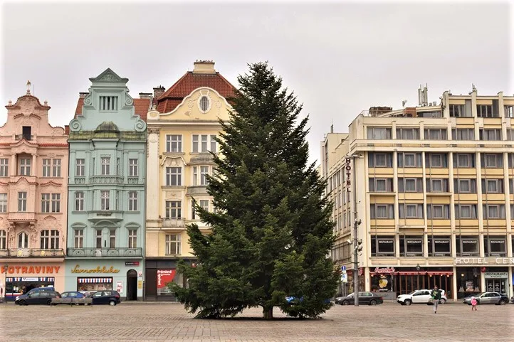 Na svém místě na náměstí Republiky už stojí plzeňská vánoční jedle a čeká na ozdobení