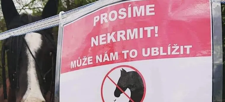ilustrační foto