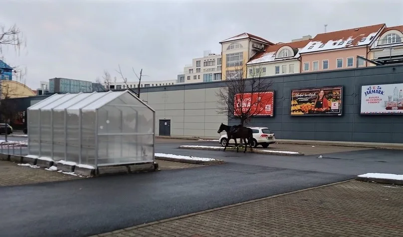 Koně se podařilo odchytit městské policii až na parkovišti u Kauflandu