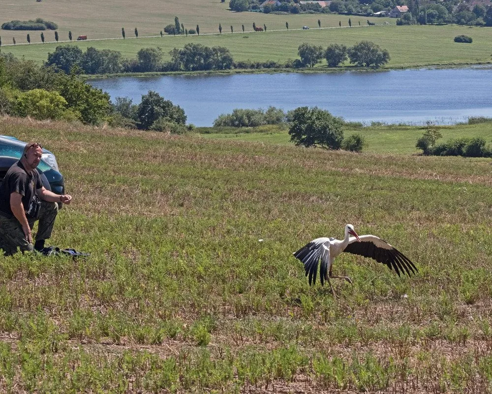Vypouštění Kryštofa před jeho dalekou cestou