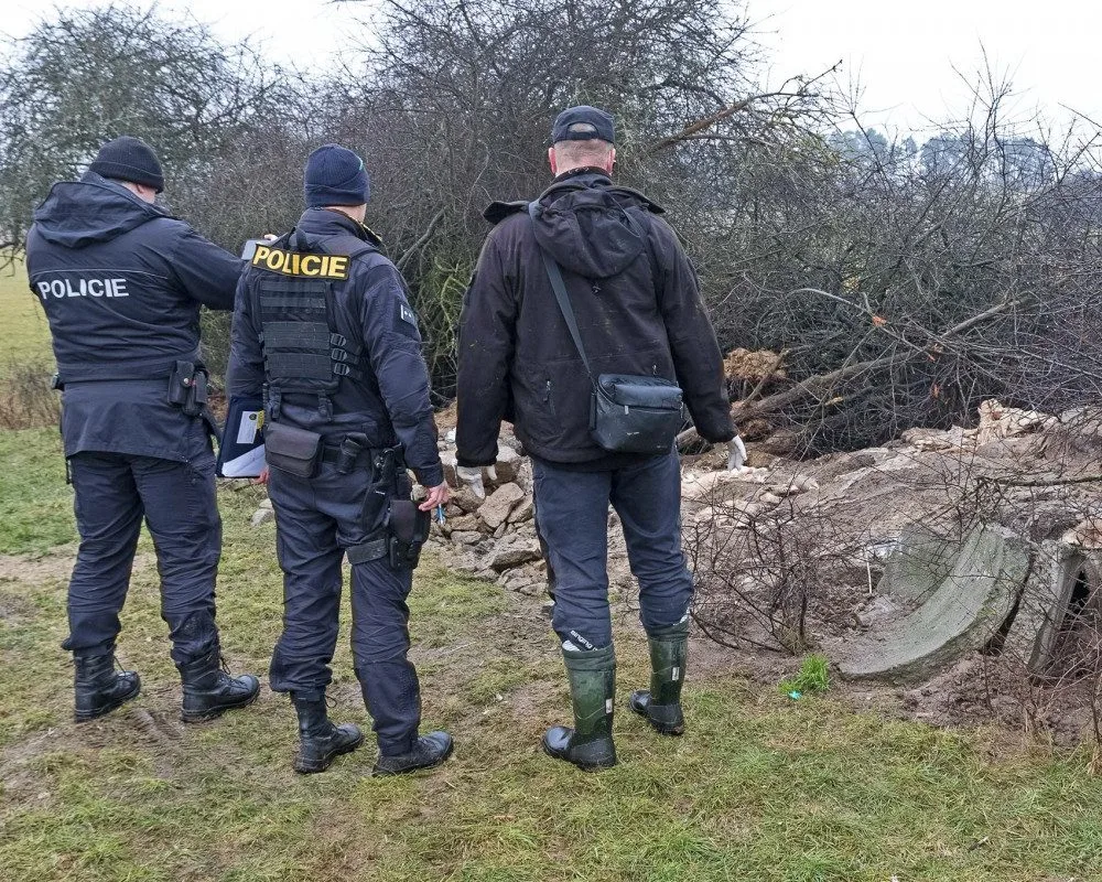 Masakr čtyř orlů mořských vyšetřuje policie, neznámý pachatel je na Klatovsku otrávil