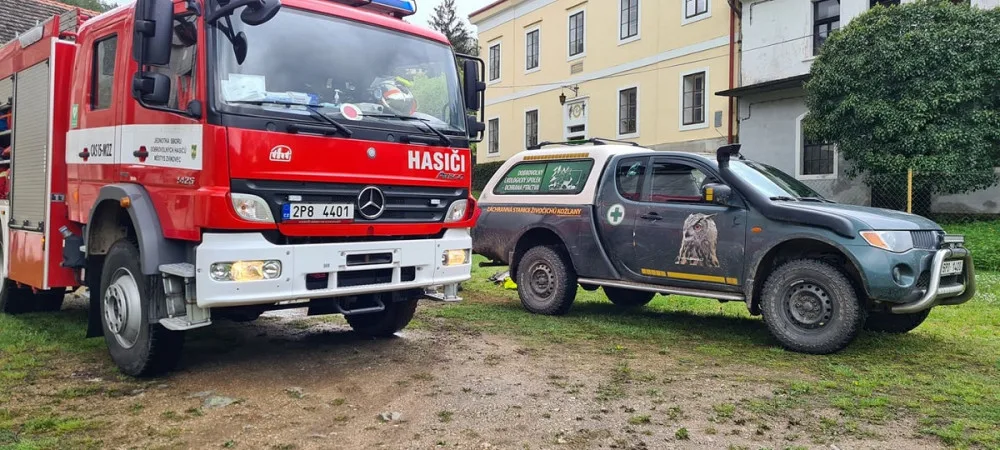 Stoupající hladina řek ohrožovala i hnízdící labutě, na pomoc jim musel vyrazit hasiči