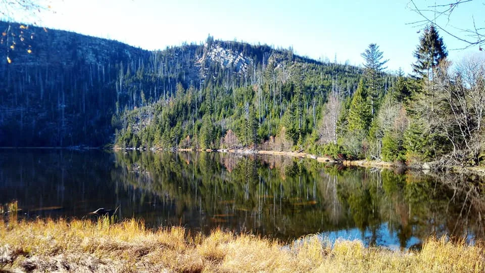 Plešné jezero
