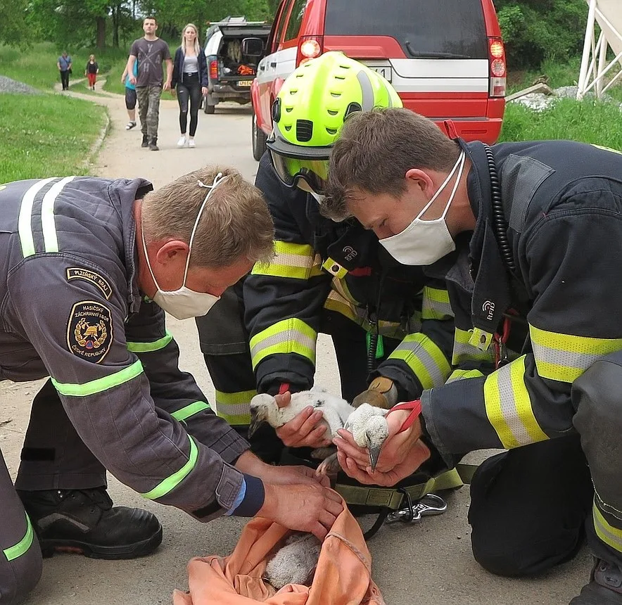 I tentokrát pomáhali hasiči s jejich výškovou technikou