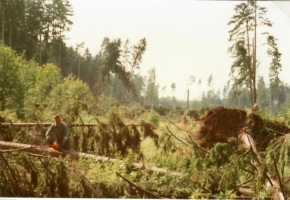 Škody v lese Pastviště, 1993 Spálené Poříčí