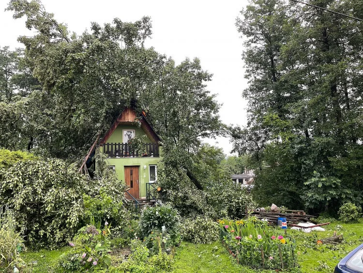 Při bouři spadlo na chalupu hned pět stromů, majitele museli vysvobodit hasiči