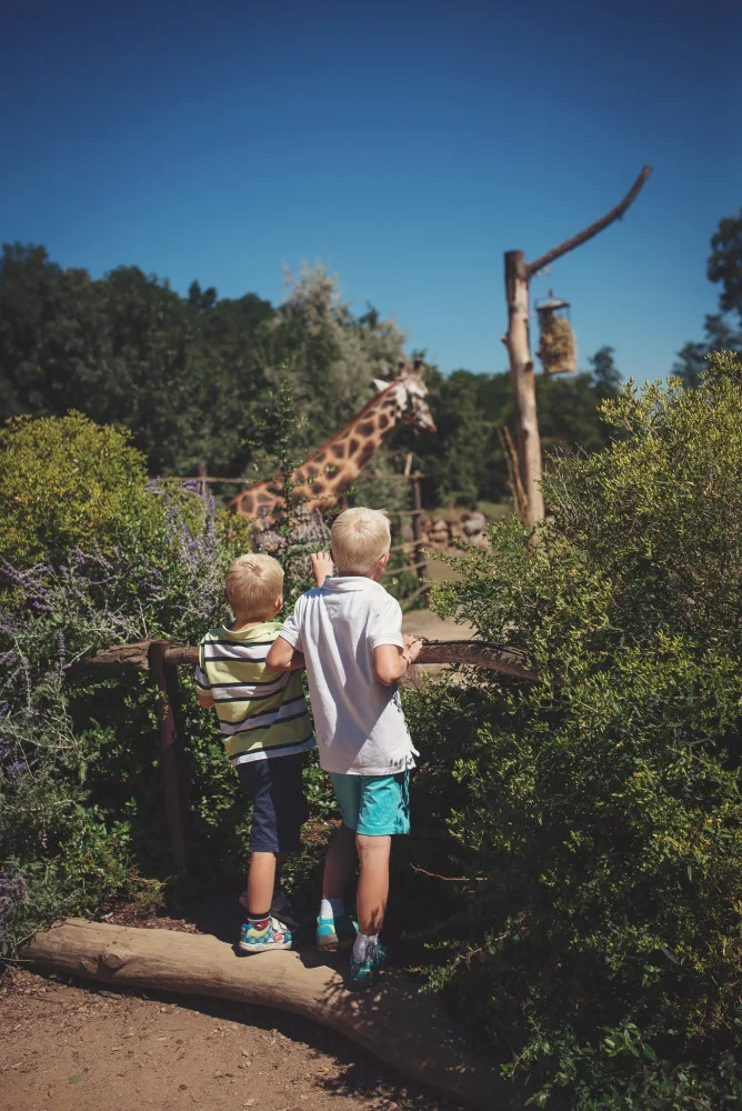 ZOO Plzeň, foto: Visit Pilsen