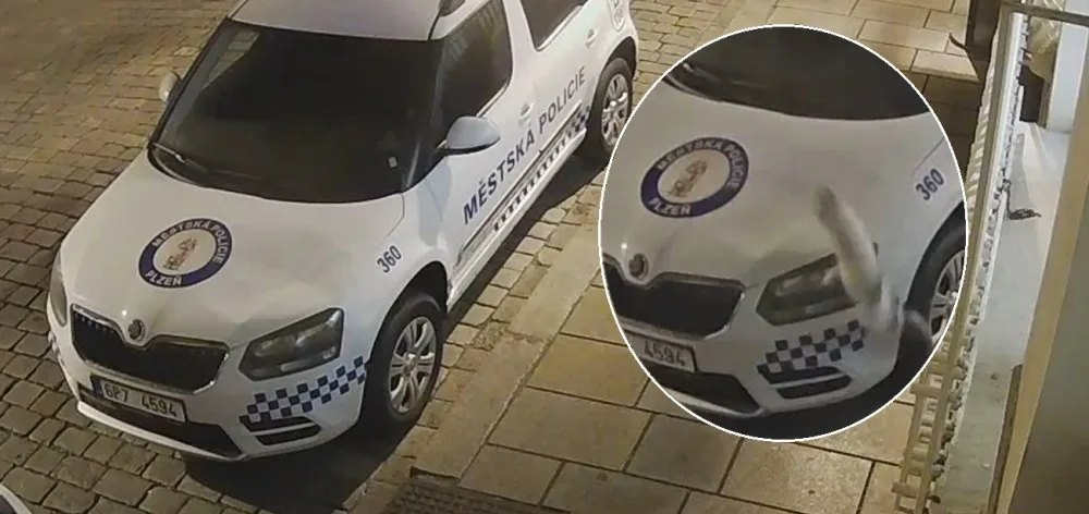 Kočka zdemolovala kapotu policejního vozu, usvědčily ji kamerové záznamy