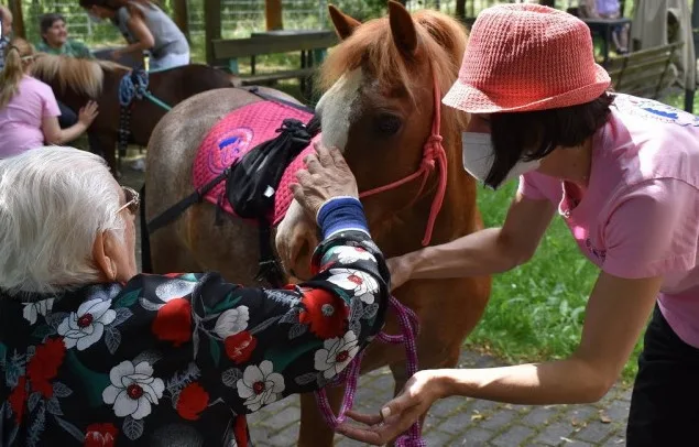 Speciálně cvičení poníci rozdávají radost kamkoli vejdou, tato forma terapie je u nás na vzestupu