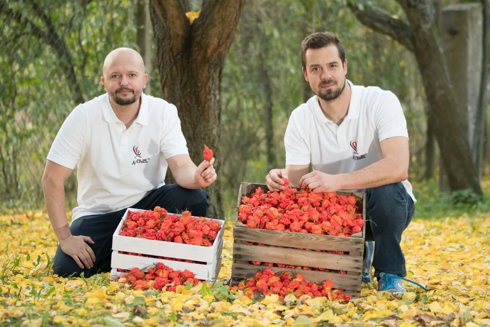 Prima Fresh festival nabídne k ochutnání i hvězdné delikatesy ze slavné britské gastronomické soutěže