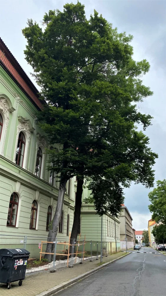 foto: místostarosta Rokycan Jan Šašek