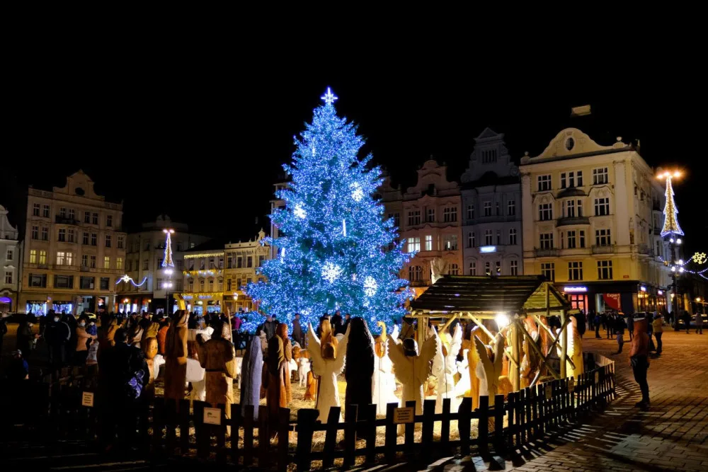 Loňský vánoční strom na náměstí v Plzni