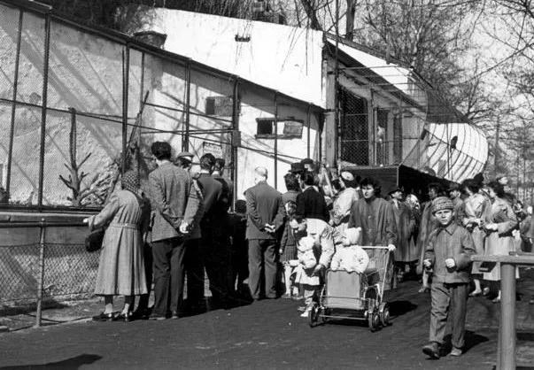 Návštěvníci u pavilonu opic v Doudlevcích, foto: archiv ZOO Plzeň /Stanislav Holubec