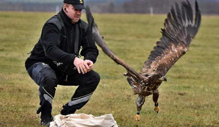 Karel Makoň vypouští Pařátka vybaveného vysílačkou