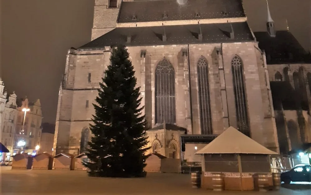 V noci strom dorazil na náměstí Republiky