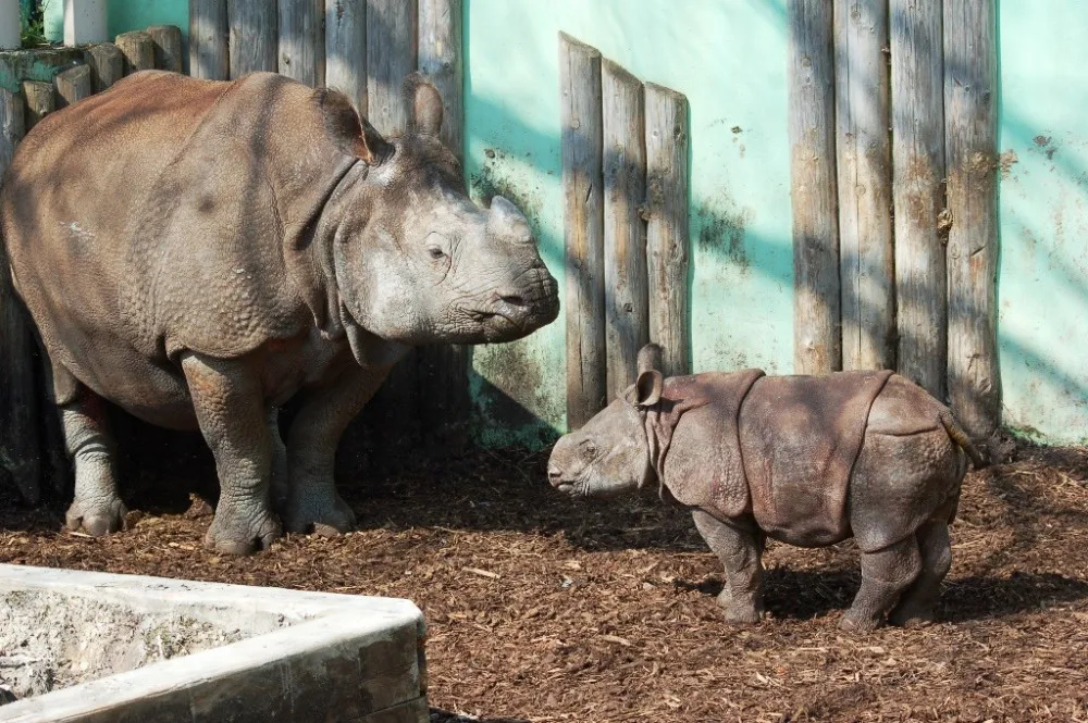 Zvířata i rostliny v ZOO Plzeň ohrožuje voda obsahující nežádoucí látky, pomoci by mohlo napojení na řeku Mži