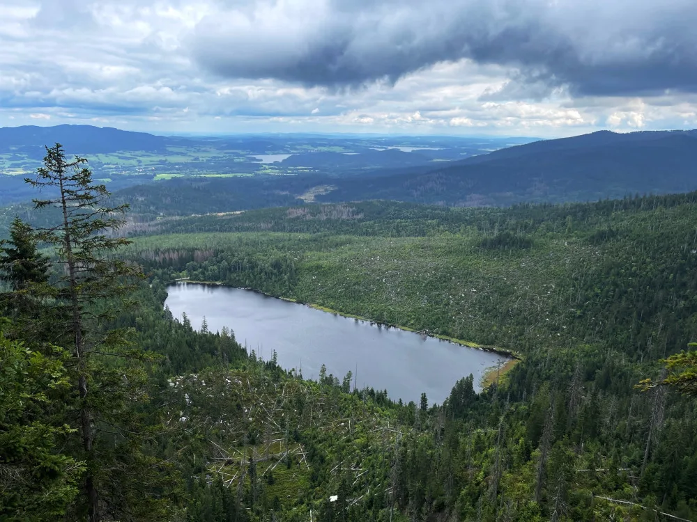 Velkým turistickým cílem v NP Šumava je Plešné jezero
