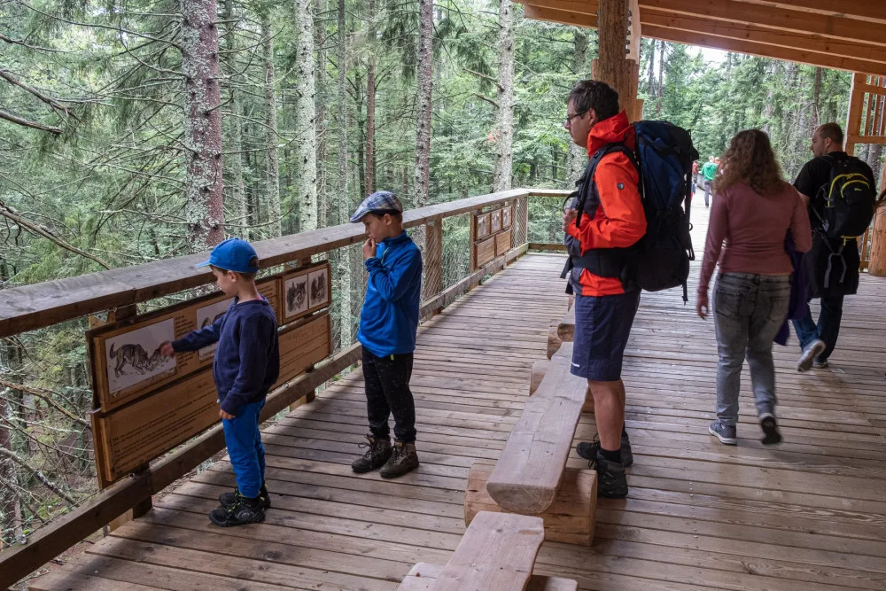 Letošní návštěvnost v NP Šumava nebyla tak masivní jako loni v létě, o rekord se ale postarali vodáci