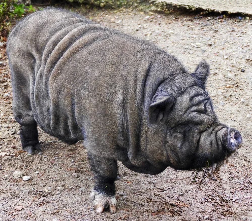 ilustrační foto