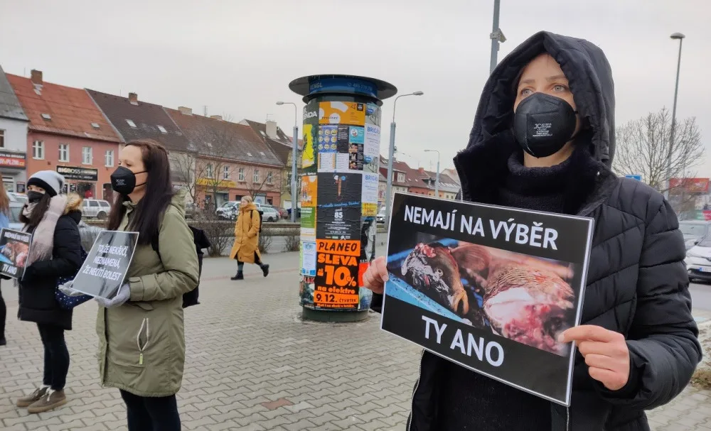 Tichou uličkou bojují aktivisté za Vánoce bez zabíjení kaprů
