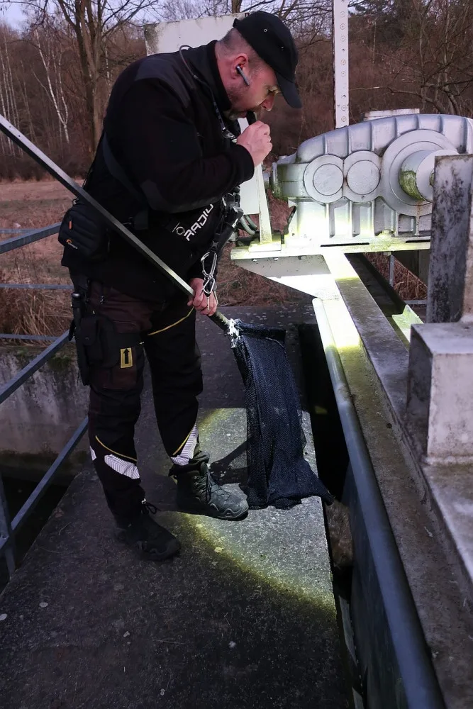 Statný bobr spadl u vodní elektrárny do úzké mezery a hrozila mu smrt, na zvíře upozornil pes při venčení