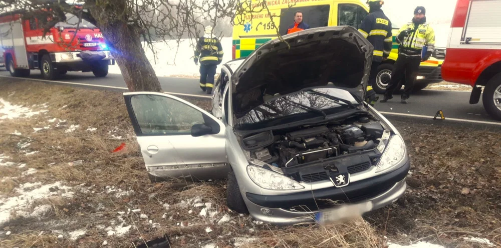 Plně obsazený Peugeot 206 narazil do stromu, při nehodě se zranilo pět mladých lidí
