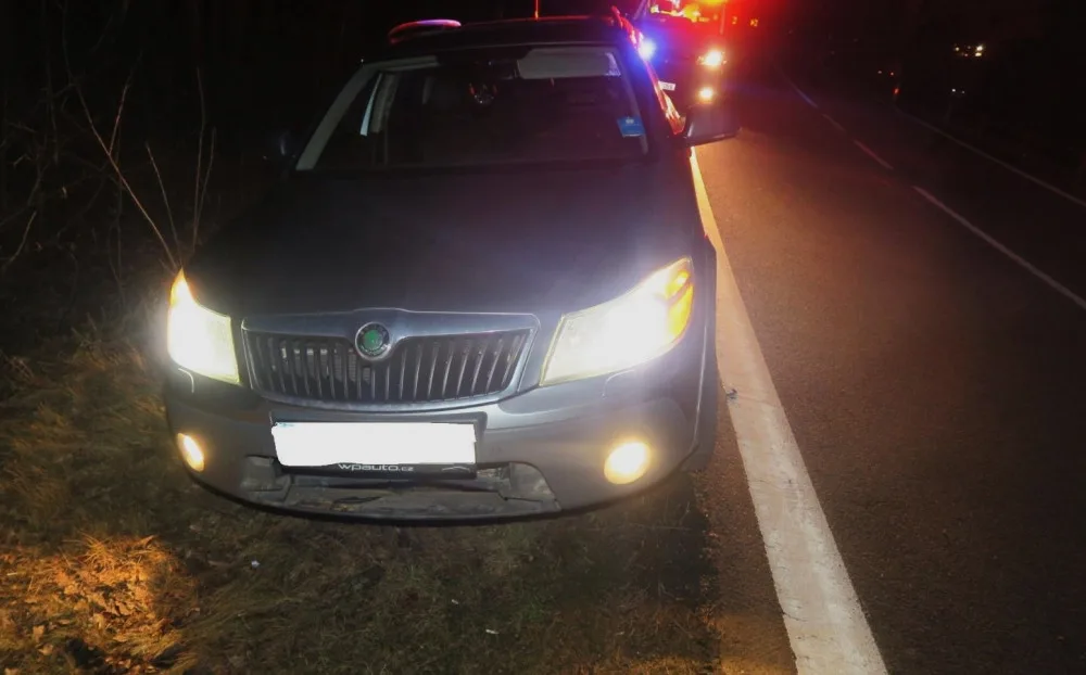 Bobr po střetu s vozidlem vyčkal na příjezd policie, potom slezl do potoka a odplaval