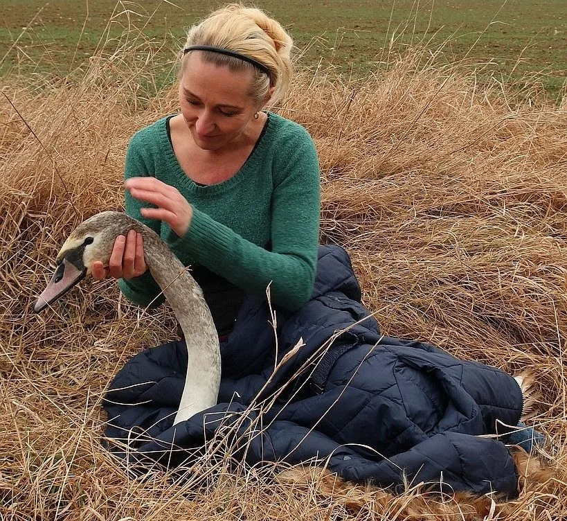 Fotografka Gabriela Černá s odchyceným mládětem labutě, které se podařilo přesídlit do jiné lokality