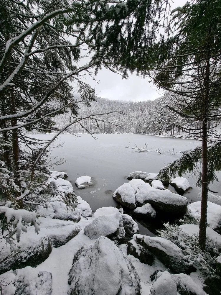 Projekt zároveň slouží jako obrovská fotobanka snímků od fanoušků i profesionálních fotografů.