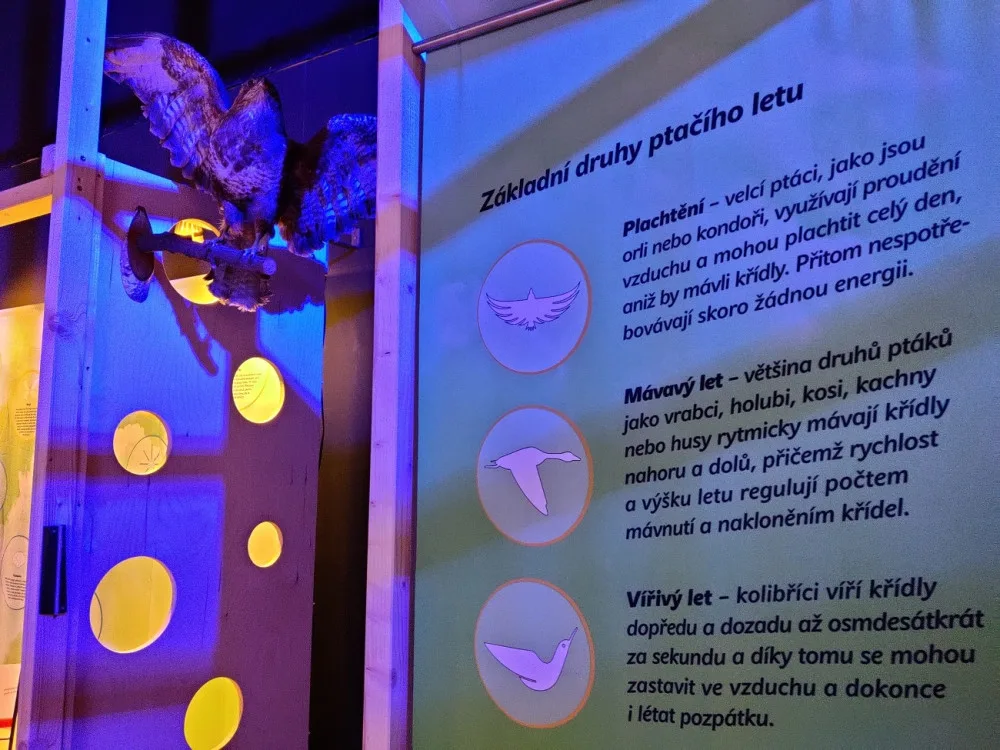 Unikátní interaktivní výstava hravou formou vysvětlí zákonitosti létání