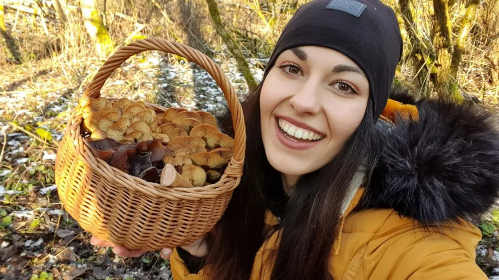 Jedlé houby v zimě