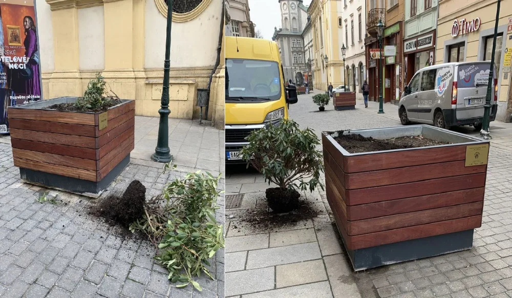Dvojice vandalů v noci poškodila obří květináče osázené stromy a keři v samotném centru Plzně