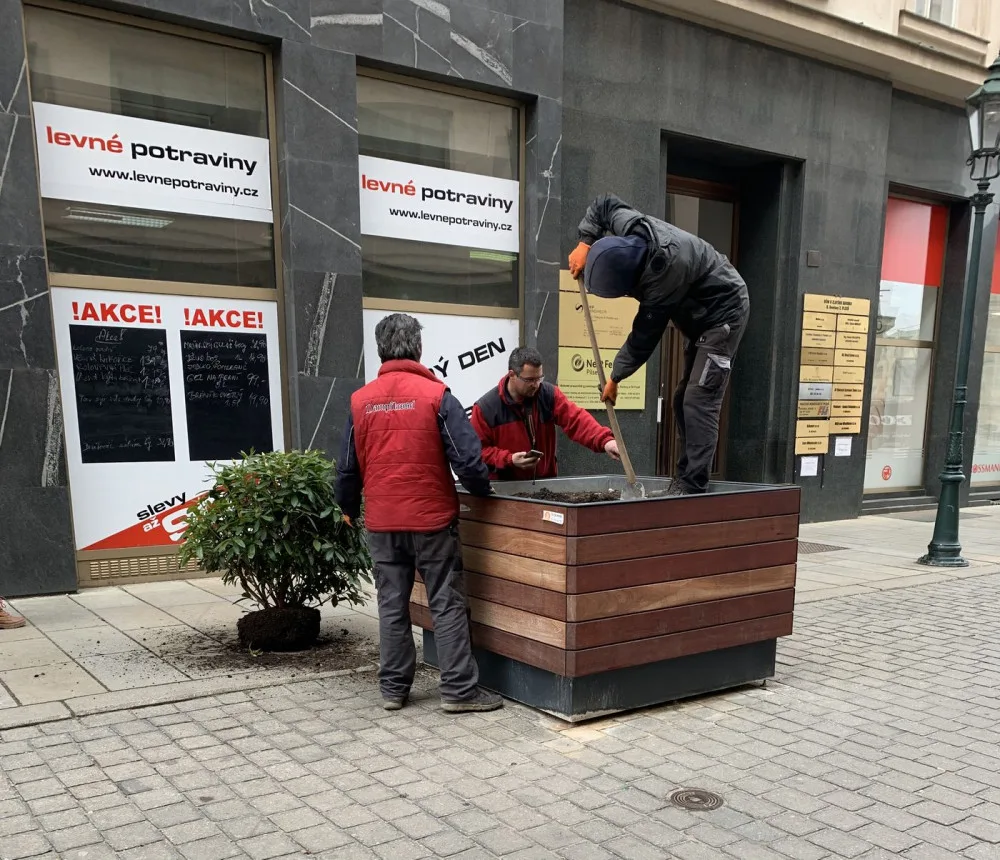 Dvojice vandalů v noci poškodila obří květináče osázené stromy a keři v samotném centru Plzně