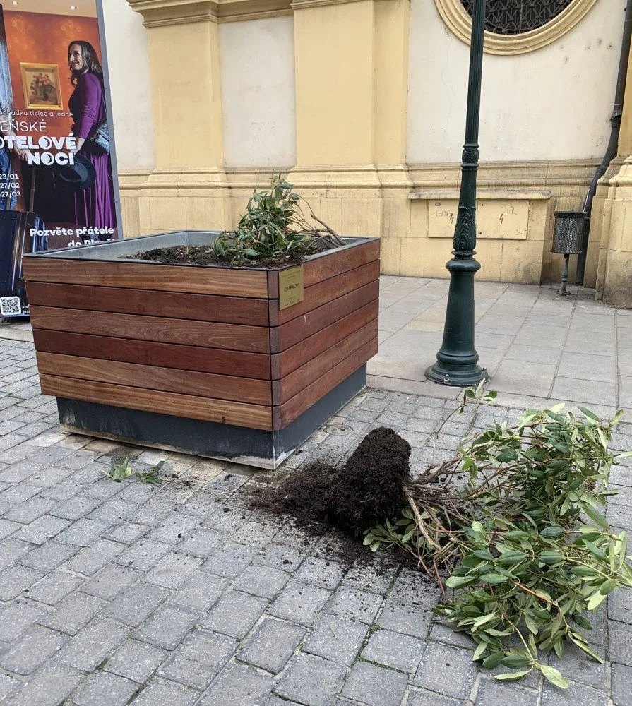 Dvojice vandalů v noci poškodila obří květináče osázené stromy a keři v samotném centru Plzně