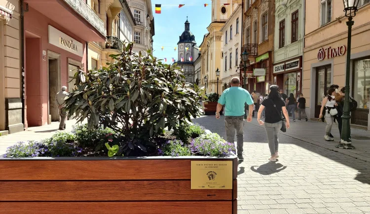 Takto krásně vypadají v létě osázené květináče ve Smetanově ulici