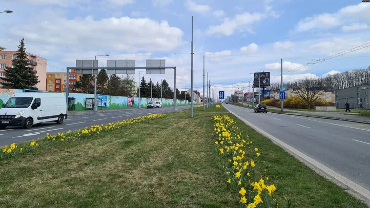 Západočeská metropole s příchodem jara rozkvetla tisícovkami květů